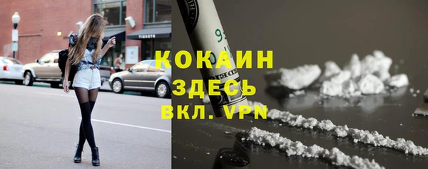 не бодяженный Пересвет