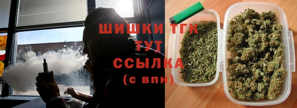 тгк Абаза