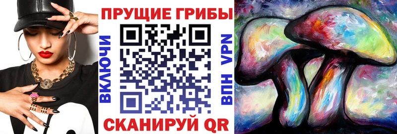 Галлюциногенные грибы Cubensis  маркетплейс телеграм  Томари 